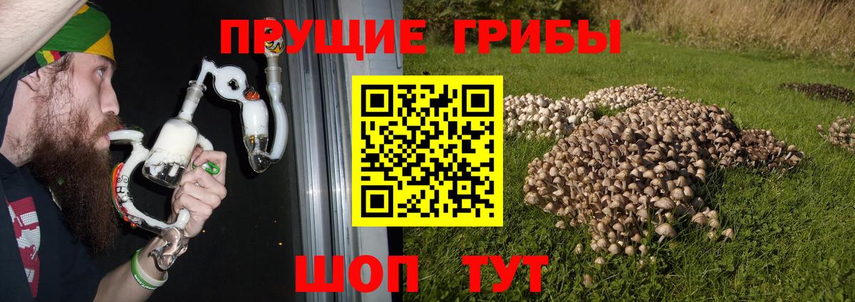 Псилоцибиновые грибы прущие грибы Костомукша